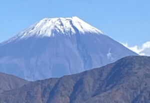 富士山のふともはトヨタシティに