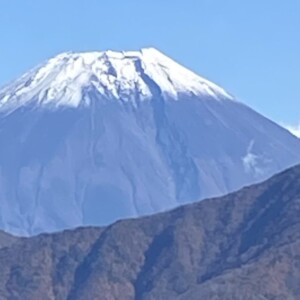 富士山のふともはトヨタシティに