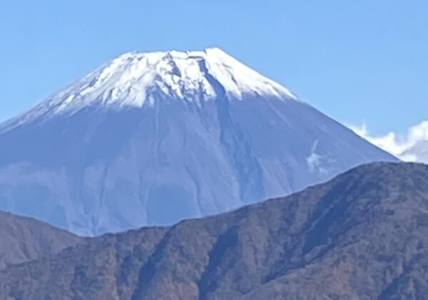 富士山のふともはトヨタシティに