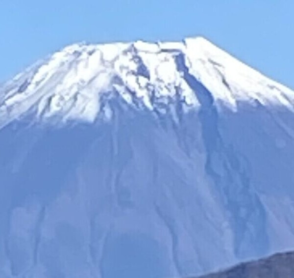 富士山のふともはトヨタシティに