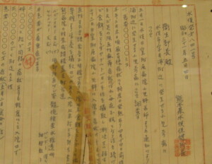 水俣病発見の報告書