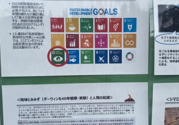 SDGsの定番パネル