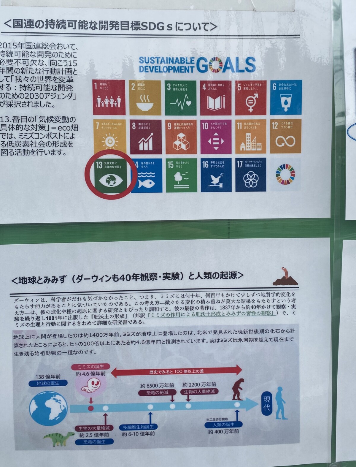 SDGsの定番パネル