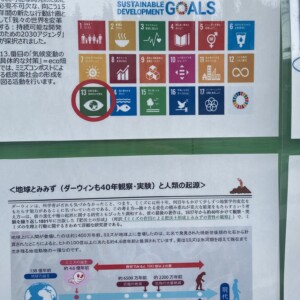 SDGsの定番パネル