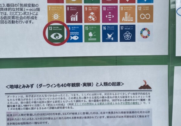 SDGsの定番パネル