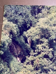 深緑の渓谷のよう