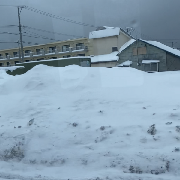 道路両脇には雪の壁が高く