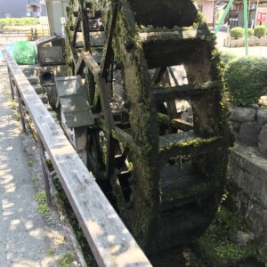 針江地区の水車