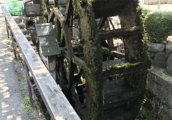 針江地区の水車