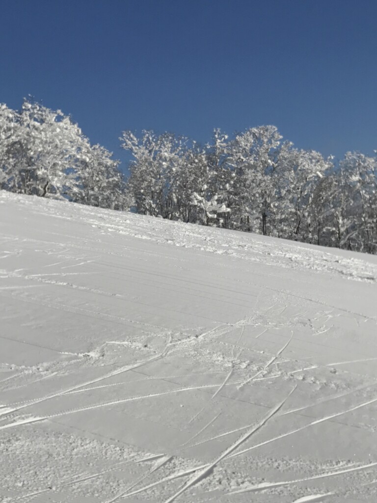 ピヤシリ・スキー場