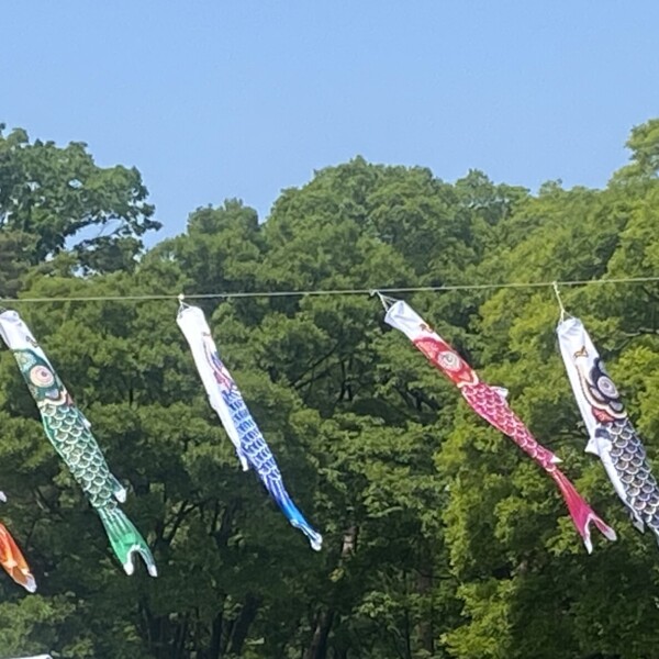 こいのぼり